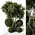 Outdoor Plant 233 Vray 3D Model 3D model small image 2