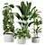 Variety of 30 Plant Models 3D model small image 1