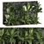 Exotic Tropical Plant Set 3D model small image 8