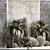 Exotic Desert Plant Collection 3D model small image 4