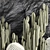 Desert Cacti Collection Set 3D model small image 2