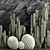 Desert Cacti Collection Set 3D model small image 3