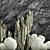 Desert Cacti Collection Set 3D model small image 4