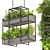 High-Quality Hanging Ampelous Plant 3D model small image 1