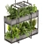 High-Quality Hanging Ampelous Plant 3D model small image 2