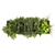 High-Quality Hanging Ampelous Plant 3D model small image 5