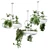 Modern Indoor Hanging Plant 3D model small image 1