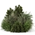 Outdoor Bush Set 1488 - 3D Model 3D model small image 5