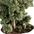 Outdoor Plant Set - Variety 3D model small image 2