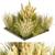  Collection Plant Vol 492: Switchgrass Northwind 3D model small image 1