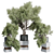 Modern Indoor Plant Set 389 3D model small image 7