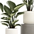 Exotic Plant Collection Concrete Decor 3D model small image 5