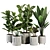 Modern Ficus Banana Plant Set 3D model small image 1