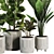 Modern Ficus Banana Plant Set 3D model small image 2