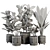 Modern Ficus Banana Plant Set 3D model small image 6