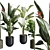 Exotic Indoor Plants Pack 47 3D model small image 2