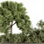 Lush Garden Tree Collection Set 3D model small image 2