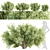  Garden Bushes 3D Model Collection 3D model small image 1