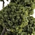 Landscaping Tree Bush Set 143 3D model small image 6