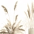 Beautiful White Pampas Grass Collection 3D model small image 3