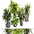 Botanical Selection Set 14 3D model small image 4