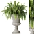 Boston Fern Vase Decoration Model 3D model small image 1