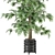 Modern Indoor Plants Set 879 3D model small image 2