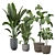 Versatile Indoor Plant 315 Model 3D model small image 1