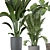 Versatile Indoor Plant 315 Model 3D model small image 3