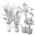 Versatile Indoor Plant 315 Model 3D model small image 4