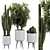 Botanical Duo: Cactus & Palm 3D model small image 1