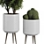 Botanical Duo: Cactus & Palm 3D model small image 4