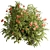 Blooming Bush Set 113 3D model small image 1