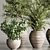 3Ds Max Indoor Plants 112 3D model small image 4