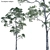 Versatile 3D Eucalyptus Plant Models 3D model small image 1