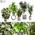 Botanical Assortment Bundle 13 3D model small image 1