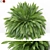 Green Oasis Plants Collection 3D model small image 1