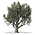 Vintage Olive Tree Sculpture 3D model small image 1