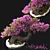 Blossom Bonsai Tree Set - V-Ray 3D model small image 1