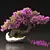 Blossom Bonsai Tree Set - V-Ray 3D model small image 3