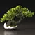 Blossom Bonsai Tree Set - V-Ray 3D model small image 4