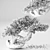 Blossom Bonsai Tree Set - V-Ray 3D model small image 7