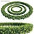 Complete Boxwood Plant Model Solution 3D model small image 3