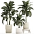 Tropical Dieffenbachia Plant in Concrete Pot 3D model small image 1