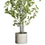 Concrete Vase Branch Tree Set 3D model small image 2