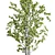 Concrete Vase Branch Tree Set 3D model small image 3