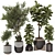 Indoor Bonsai Olive & Ficus Set 3D model small image 1