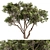 Stone Pine Tree Set 190 3D model small image 1