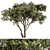 Stone Pine Tree Set 190 3D model small image 3