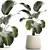 Exotic Tropical Plant Ensemble 3D model small image 1